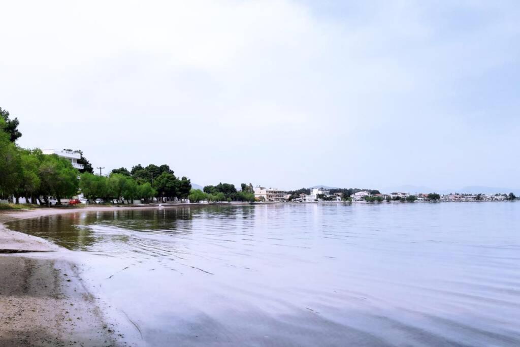 Πολυτελές Διαμέρισμα 2 Χαλκίδα-Παραλία Αυλίδος Paralia Avlidhos Exteriör bild