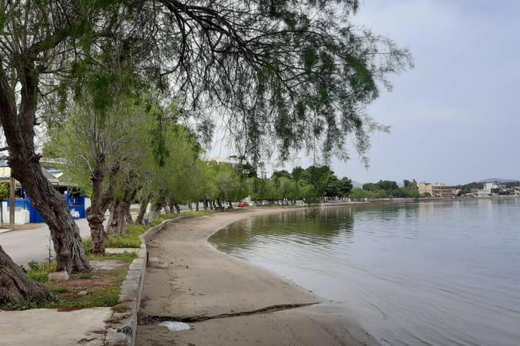 Πολυτελές Διαμέρισμα 2 Χαλκίδα-Παραλία Αυλίδος Paralia Avlidhos Exteriör bild